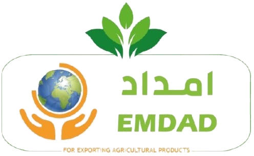 Emdad Export logo